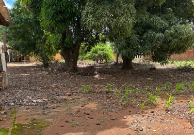 VENDE-SE TERRENO NO BAIRRO ABADIA