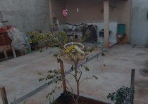 VENDE-SE ÓTIMA CASA NO PARQUE DAS LARANJEIRAS