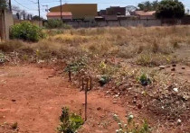 ÁREA COM 2.540M² DISPONÍVEL P/ LOCAÇÃO NA AV. MANOEL DE MELO REZENDE.