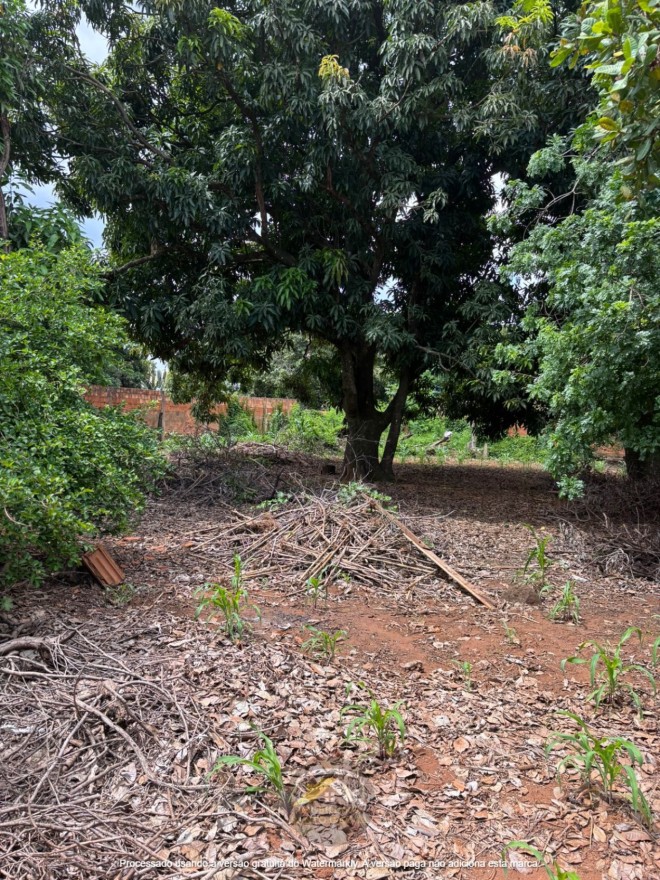 VENDE-SE TERRENO NO BAIRRO ABADIA